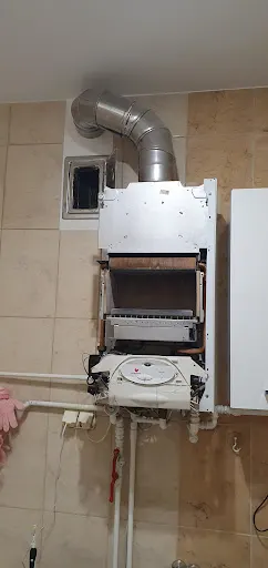 Lang Mariusz.Technika grzewcza. Serwis Vaillant, Saunier Duval, Viessmann, Brotje